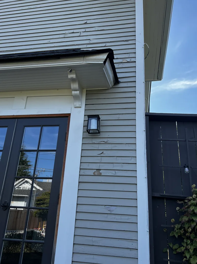 Old exterior paint lifting off siding in sheets at the eave and corner board of a 1909 Bellingham home.