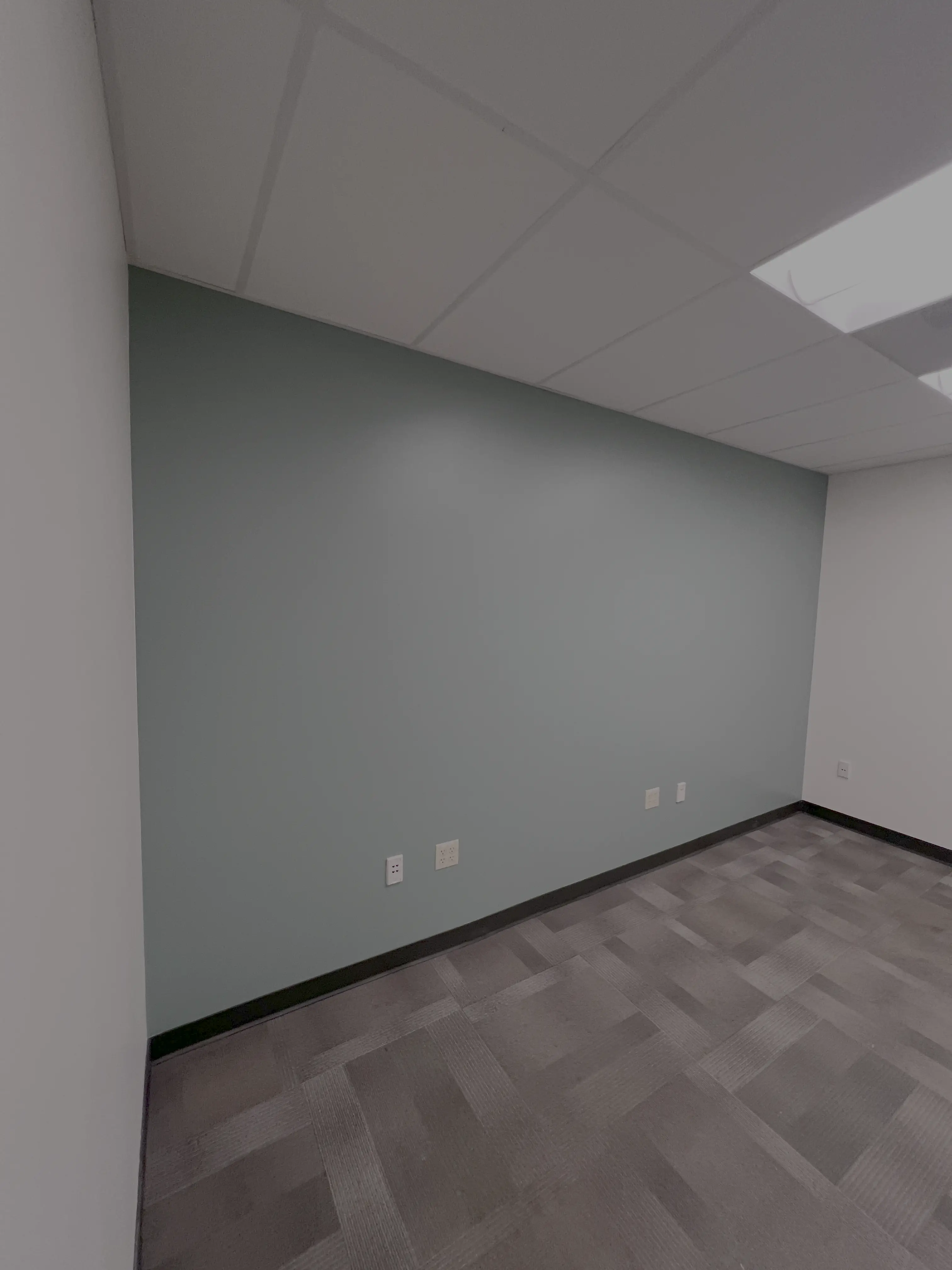 Finished office repaint in Bellingham — consistent coverage with sharp lines where accent walls meet white walls.